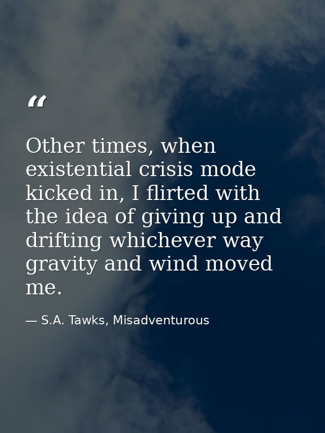 Other times, when existential crisis mode kicked in, I flirted with the idea of giving up and drifting whichever way gra — S.A. Tawks, Misadventurous