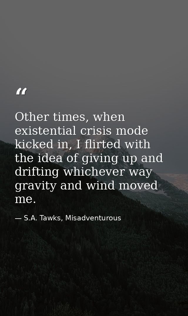 Other times, when existential crisis mode kicked in, I flirted with the idea of giving up and drifting whichever way gra — S.A. Tawks, Misadventurous