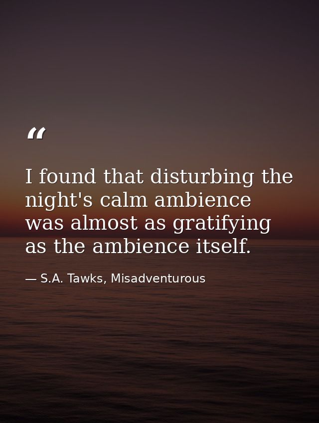I found that disturbing the night's calm ambience was almost as gratifying as the ambience itself. — S.A. Tawks, Misadventurous