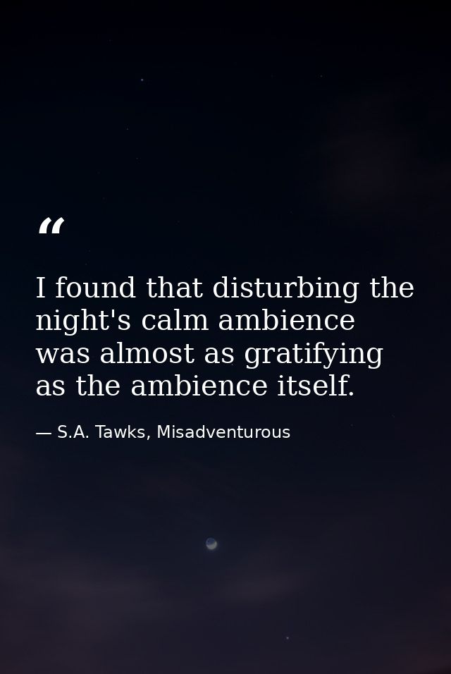 I found that disturbing the night's calm ambience was almost as gratifying as the ambience itself. — S.A. Tawks, Misadventurous