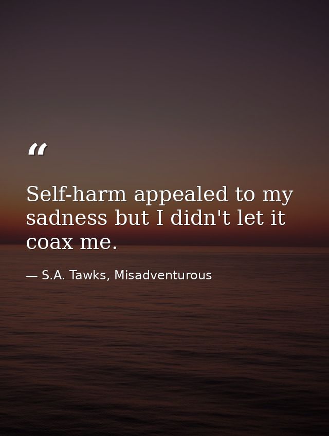 Self-harm appealed to my sadness but I didn't let it coax me. — S.A. Tawks, Misadventurous