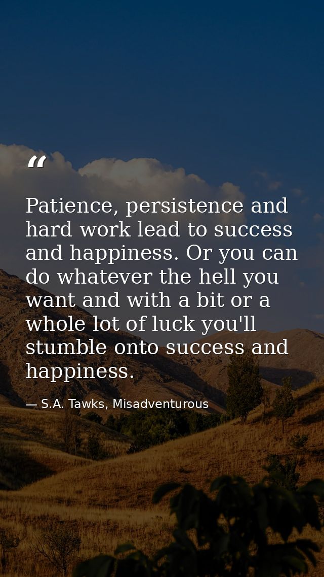 Patience, persistence and hard work lead to success and happiness. Or you can do whatever the hell you want and with a b — S.A. Tawks, Misadventurous
