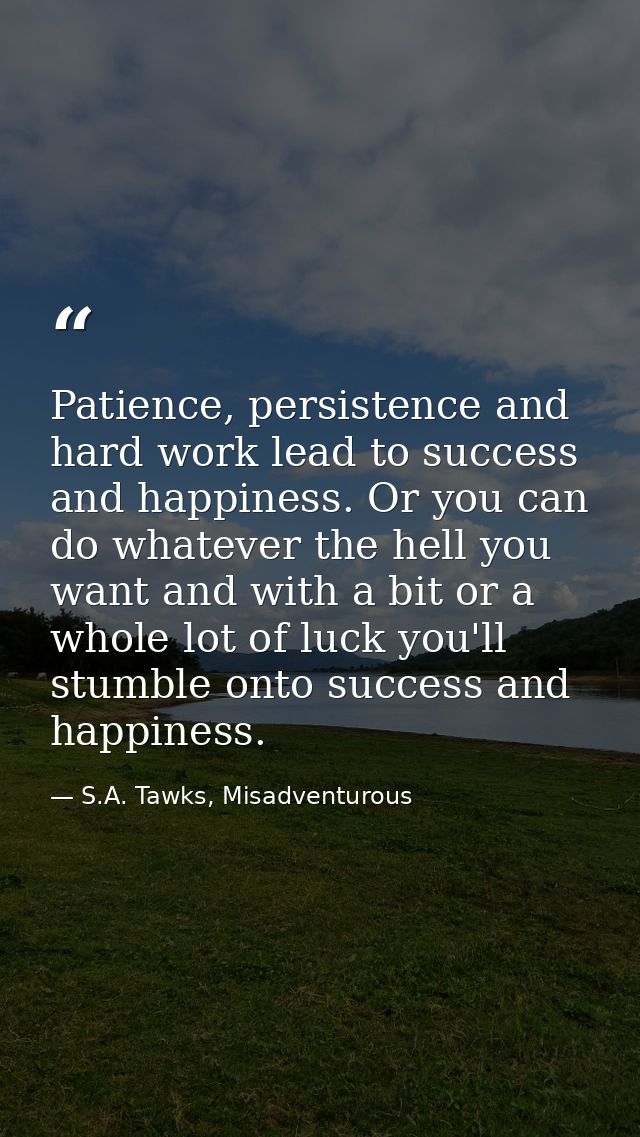 Patience, persistence and hard work lead to success and happiness. Or you can do whatever the hell you want and with a b — S.A. Tawks, Misadventurous