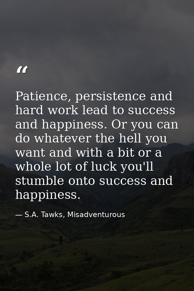 Patience, persistence and hard work lead to success and happiness. Or you can do whatever the hell you want and with a b — S.A. Tawks, Misadventurous