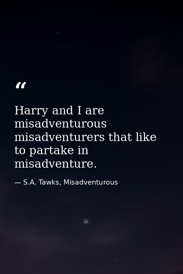 Harry and I are misadventurous misadventurers that like to partake in misadventure. — S.A. Tawks, Misadventurous
