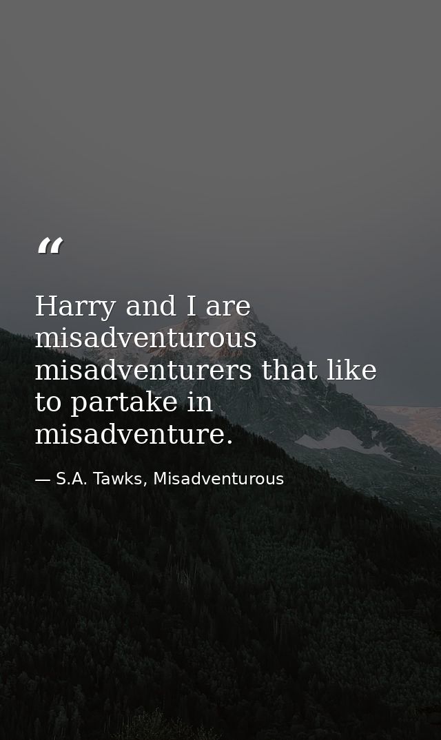 Harry and I are misadventurous misadventurers that like to partake in misadventure. — S.A. Tawks, Misadventurous
