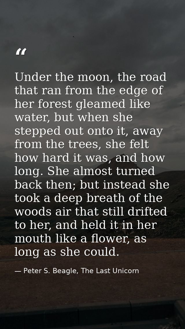 Under the moon, the road that ran from the edge of her forest gleamed like water, but when she stepped out onto it, away — Peter S. Beagle, The Last Unicorn