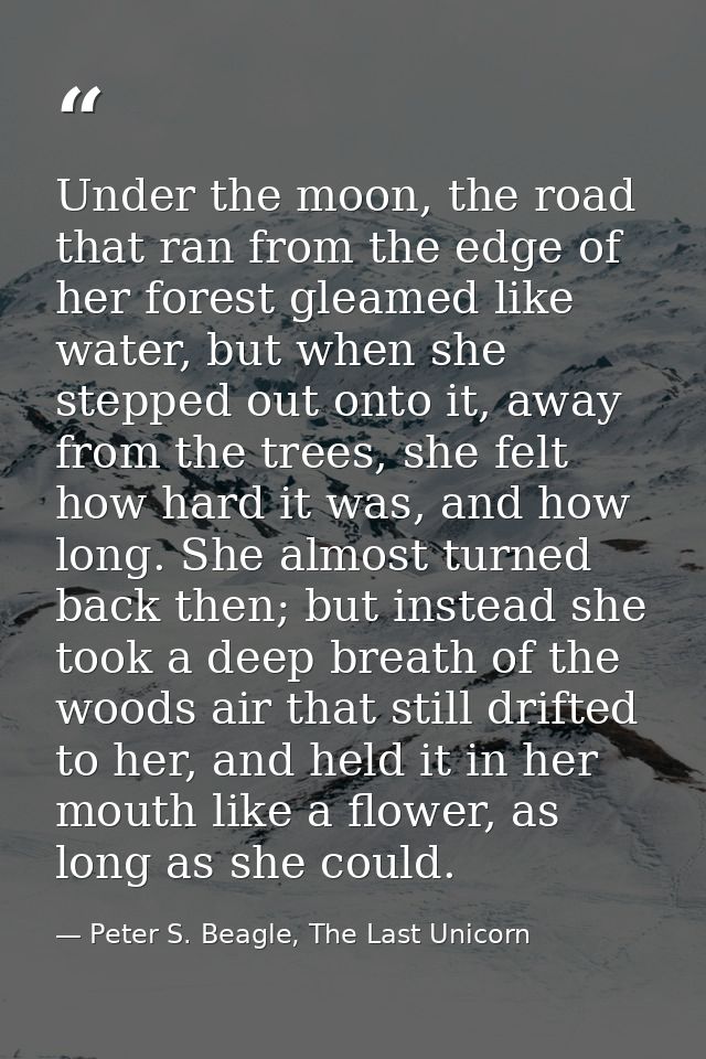 Under the moon, the road that ran from the edge of her forest gleamed like water, but when she stepped out onto it, away — Peter S. Beagle, The Last Unicorn