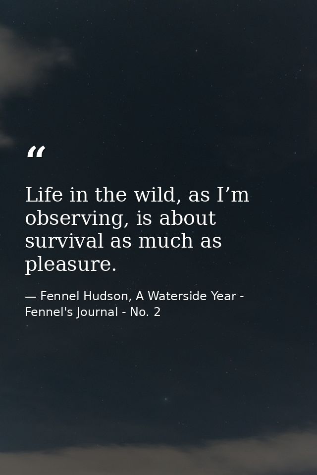 Life in the wild, as I’m observing, is about survival as much as pleasure. — Fennel Hudson, A Waterside Year - Fennel's Journal - No. 2