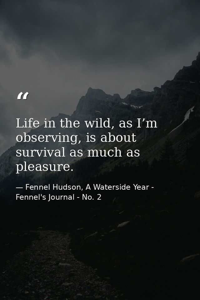 Life in the wild, as I’m observing, is about survival as much as pleasure. — Fennel Hudson, A Waterside Year - Fennel's Journal - No. 2