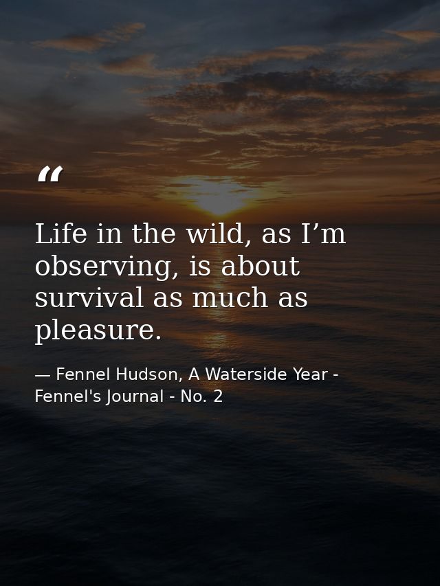 Life in the wild, as I’m observing, is about survival as much as pleasure. — Fennel Hudson, A Waterside Year - Fennel's Journal - No. 2