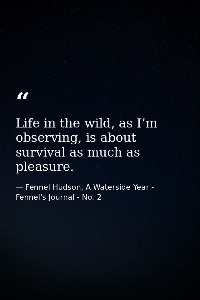 Life in the wild, as I’m observing, is about survival as much as pleasure. — Fennel Hudson, A Waterside Year - Fennel's Journal - No. 2