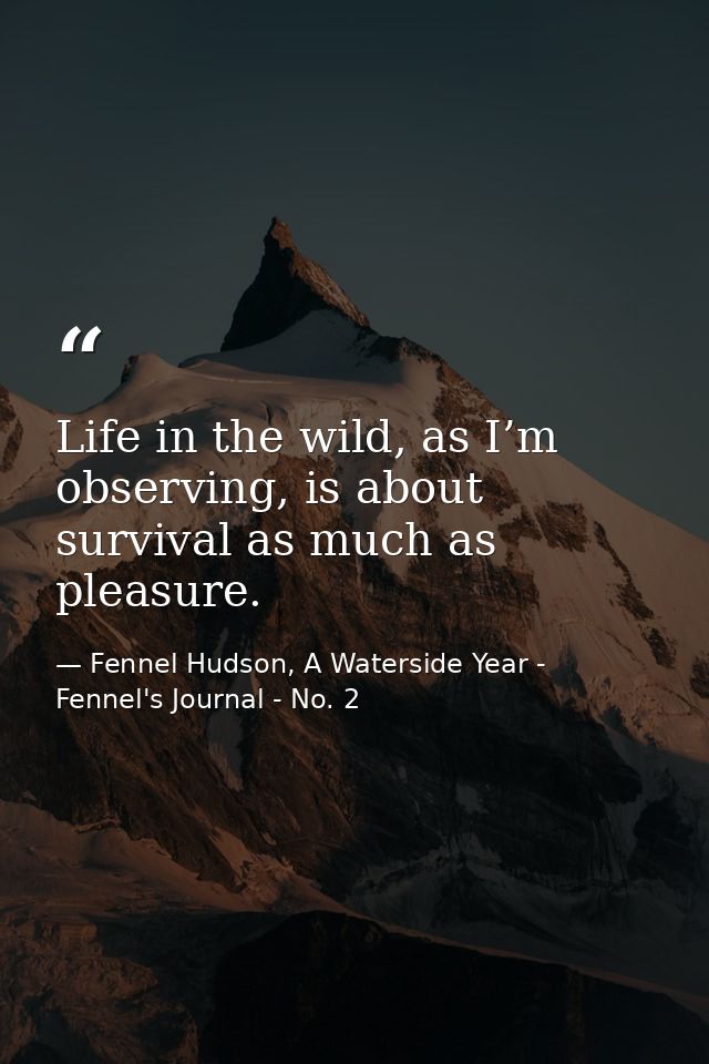 Life in the wild, as I’m observing, is about survival as much as pleasure. — Fennel Hudson, A Waterside Year - Fennel's Journal - No. 2