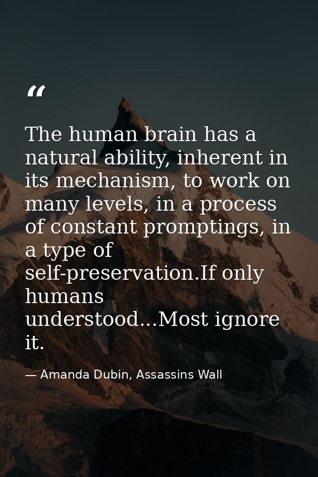 The human brain has a natural ability, inherent in its mechanism, to work on many levels, in a process of constant promp — Amanda Dubin, Assassins Wall