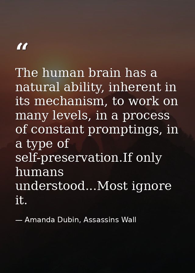The human brain has a natural ability, inherent in its mechanism, to work on many levels, in a process of constant promp — Amanda Dubin, Assassins Wall