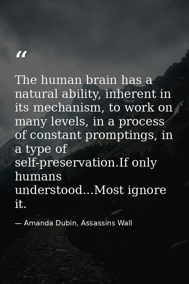The human brain has a natural ability, inherent in its mechanism, to work on many levels, in a process of constant promp — Amanda Dubin, Assassins Wall