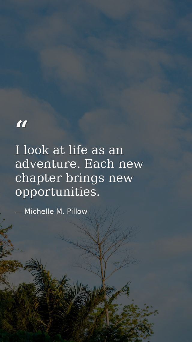 I look at life as an adventure. Each new chapter brings new opportunities. — Michelle M. Pillow