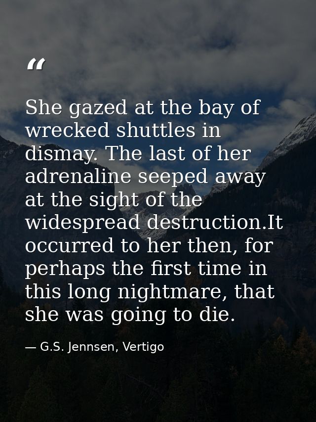She gazed at the bay of wrecked shuttles in dismay. The last of her adrenaline seeped away at the sight of the widesprea — G.S. Jennsen, Vertigo