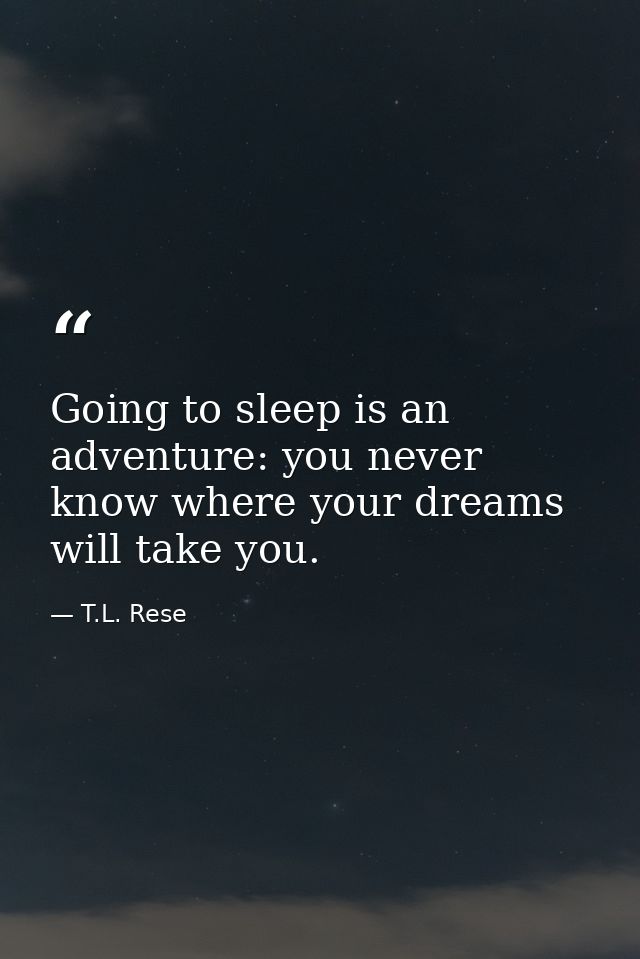 Going to sleep is an adventure: you never know where your dreams will take you. — T.L. Rese