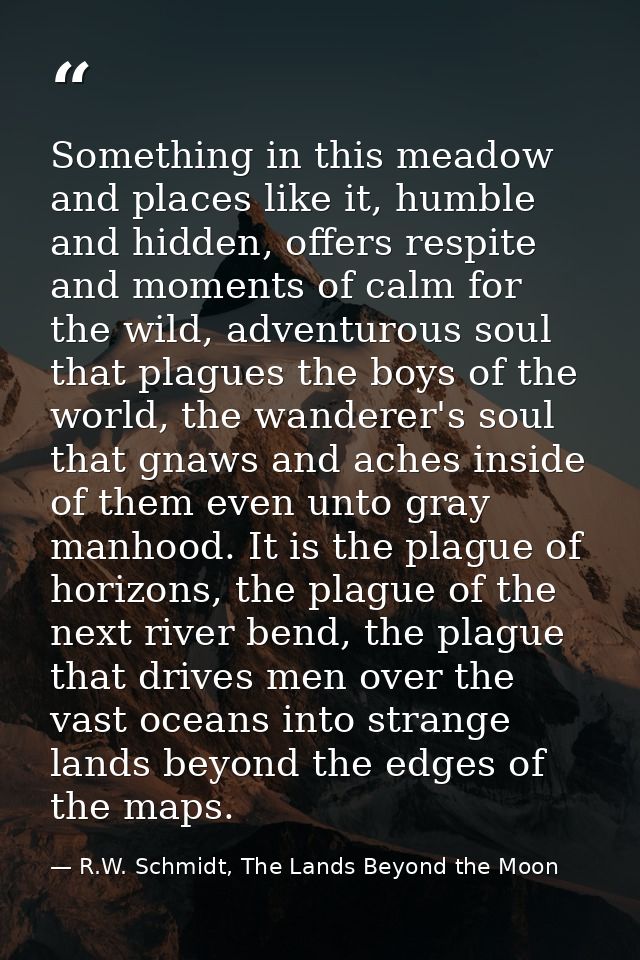 Something in this meadow and places like it, humble and hidden, offers respite and moments of calm for the wild, adventu — R.W. Schmidt, The Lands Beyond the Moon