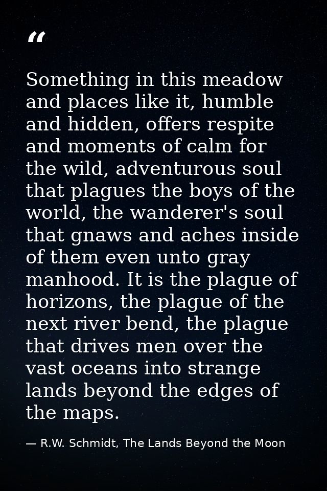 Something in this meadow and places like it, humble and hidden, offers respite and moments of calm for the wild, adventu — R.W. Schmidt, The Lands Beyond the Moon