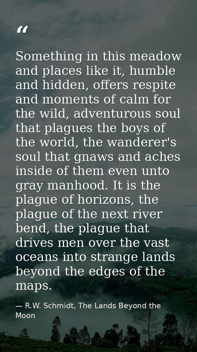 Something in this meadow and places like it, humble and hidden, offers respite and moments of calm for the wild, adventu — R.W. Schmidt, The Lands Beyond the Moon