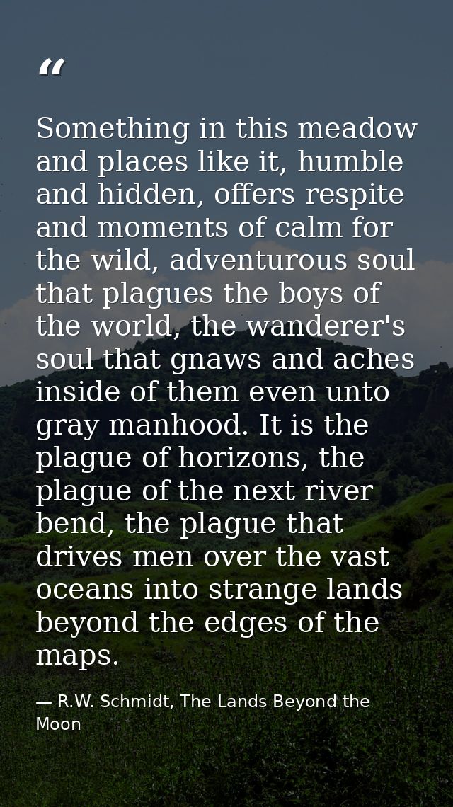 Something in this meadow and places like it, humble and hidden, offers respite and moments of calm for the wild, adventu — R.W. Schmidt, The Lands Beyond the Moon