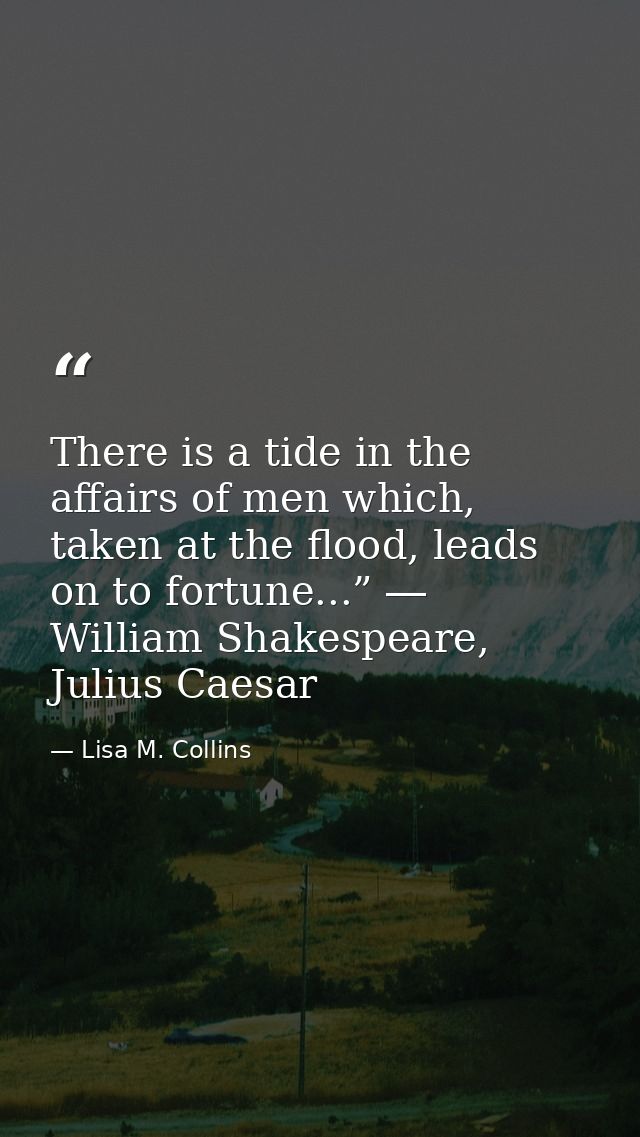 There is a tide in the affairs of men which, taken at the flood, leads on to fortune...” ― William Shakespeare, Julius C — Lisa M. Collins
