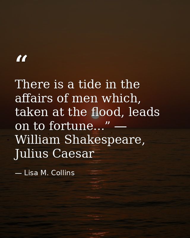 There is a tide in the affairs of men which, taken at the flood, leads on to fortune...” ― William Shakespeare, Julius C — Lisa M. Collins