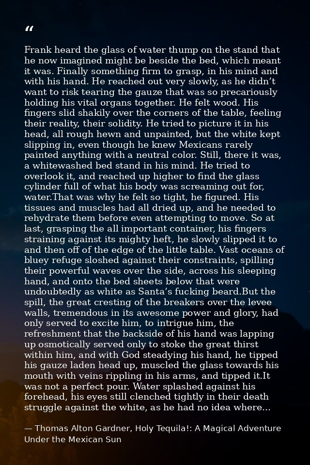 Frank heard the glass of water thump on the stand that he now imagined might be beside the bed, which meant it was. Fina — Thomas Alton Gardner, Holy Tequila!: A Magical Adventure Under the Mexican Sun