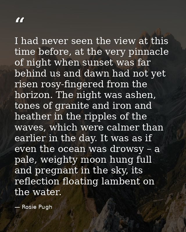 I had never seen the view at this time before, at the very pinnacle of night when sunset was far behind us and dawn had  — Rosie Pugh