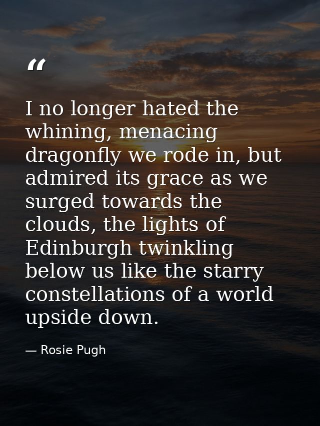 I no longer hated the whining, menacing dragonfly we rode in, but admired its grace as we surged towards the clouds, the — Rosie Pugh