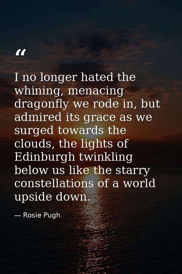 I no longer hated the whining, menacing dragonfly we rode in, but admired its grace as we surged towards the clouds, the — Rosie Pugh