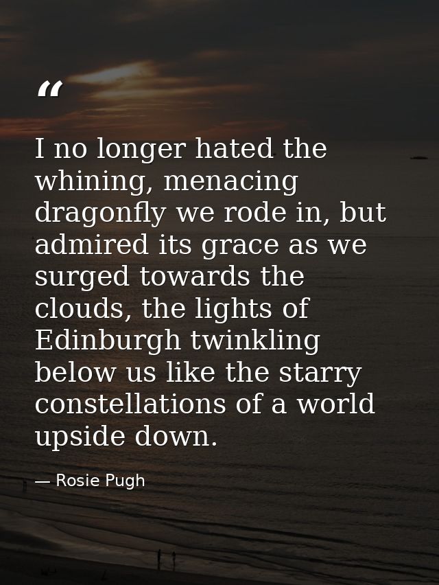 I no longer hated the whining, menacing dragonfly we rode in, but admired its grace as we surged towards the clouds, the — Rosie Pugh