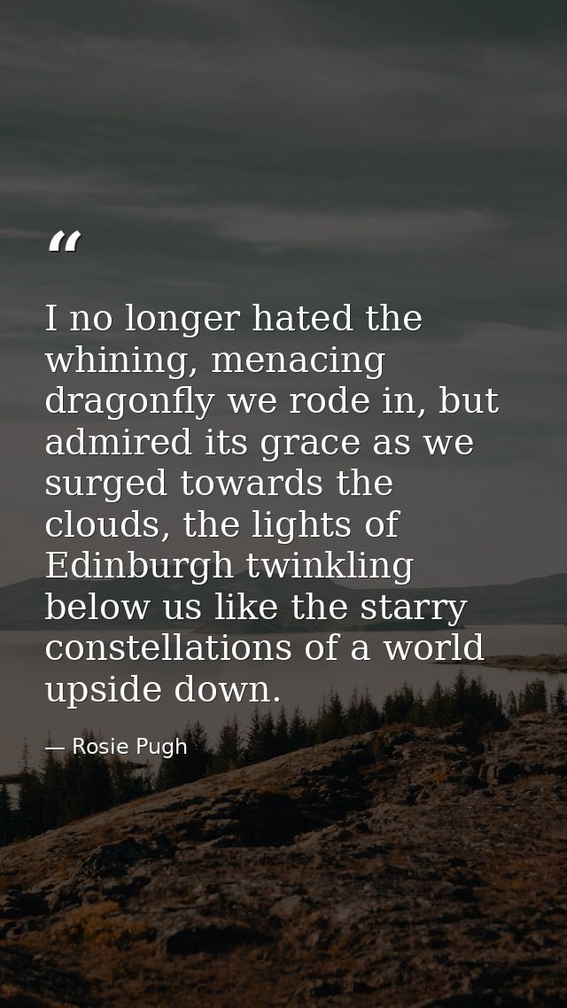 I no longer hated the whining, menacing dragonfly we rode in, but admired its grace as we surged towards the clouds, the — Rosie Pugh
