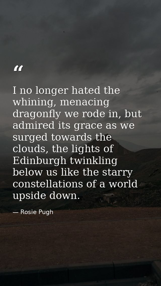 I no longer hated the whining, menacing dragonfly we rode in, but admired its grace as we surged towards the clouds, the — Rosie Pugh