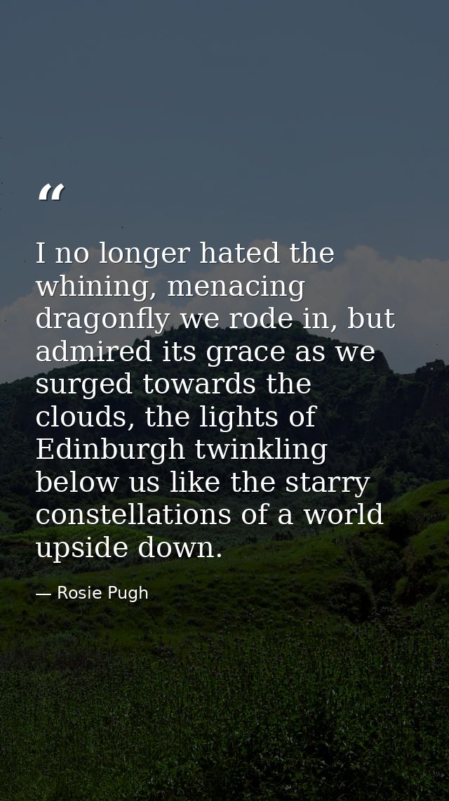 I no longer hated the whining, menacing dragonfly we rode in, but admired its grace as we surged towards the clouds, the — Rosie Pugh