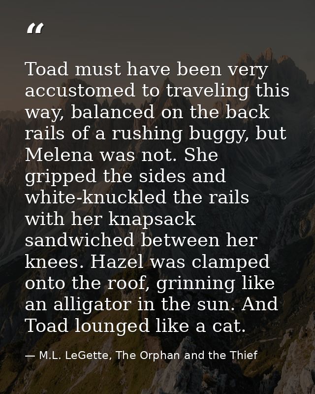Toad must have been very accustomed to traveling this way, balanced on the back rails of a rushing buggy, but Melena was — M.L. LeGette, The Orphan and the Thief