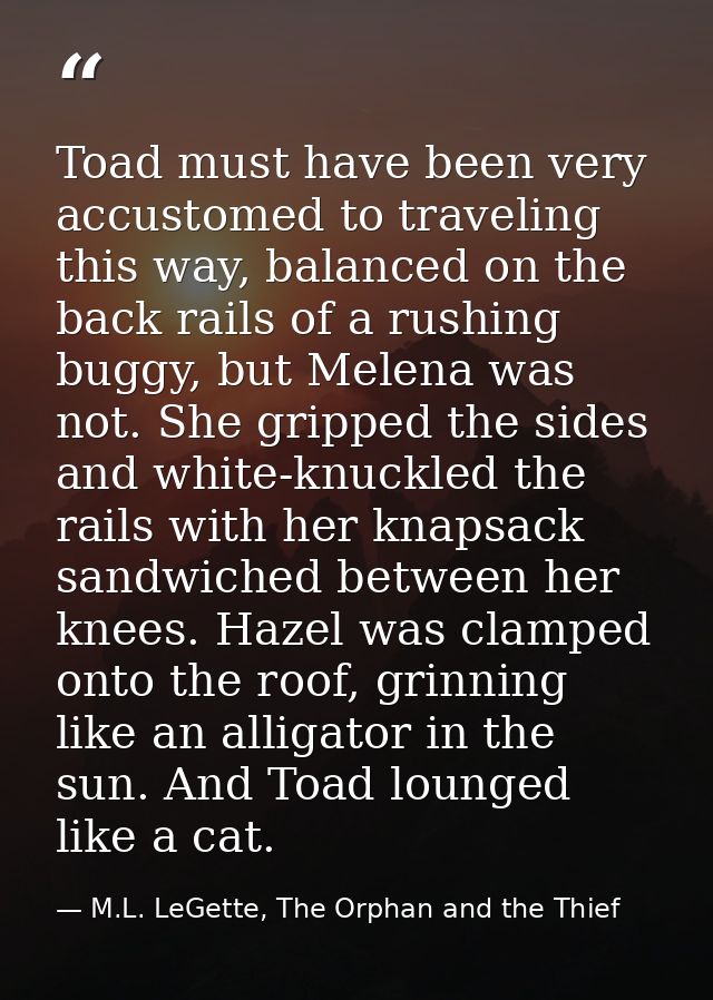 Toad must have been very accustomed to traveling this way, balanced on the back rails of a rushing buggy, but Melena was — M.L. LeGette, The Orphan and the Thief