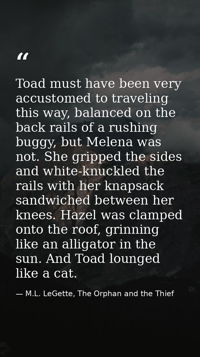Toad must have been very accustomed to traveling this way, balanced on the back rails of a rushing buggy, but Melena was — M.L. LeGette, The Orphan and the Thief