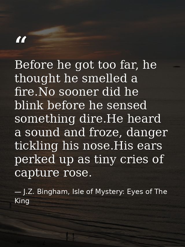 Before he got too far, he thought he smelled a fire.No sooner did he blink before he sensed something dire.He heard a so — J.Z. Bingham, Isle of Mystery: Eyes of The King