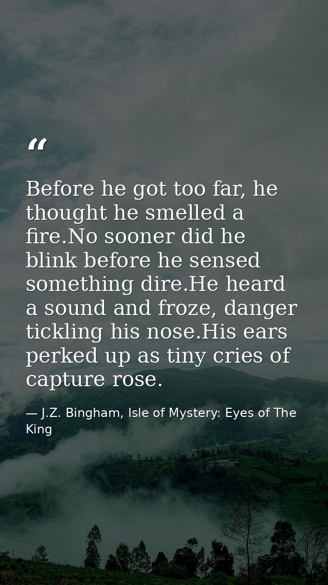 Before he got too far, he thought he smelled a fire.No sooner did he blink before he sensed something dire.He heard a so — J.Z. Bingham, Isle of Mystery: Eyes of The King