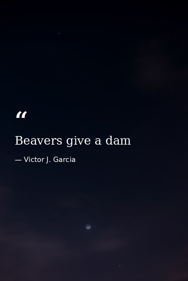Beavers give a dam — Victor J. Garcia