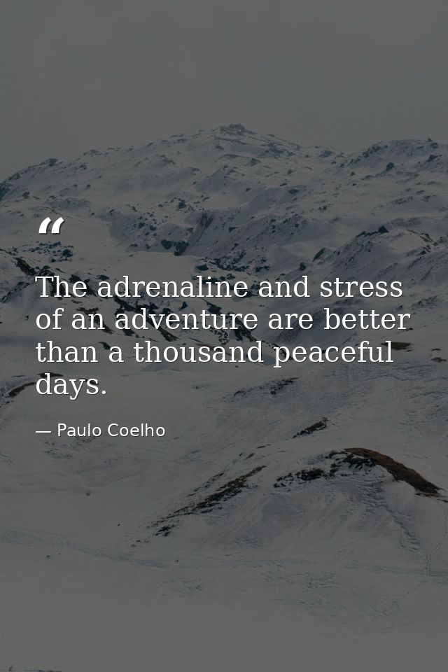 The adrenaline and stress of an adventure are better than a thousand peaceful days. — Paulo Coelho