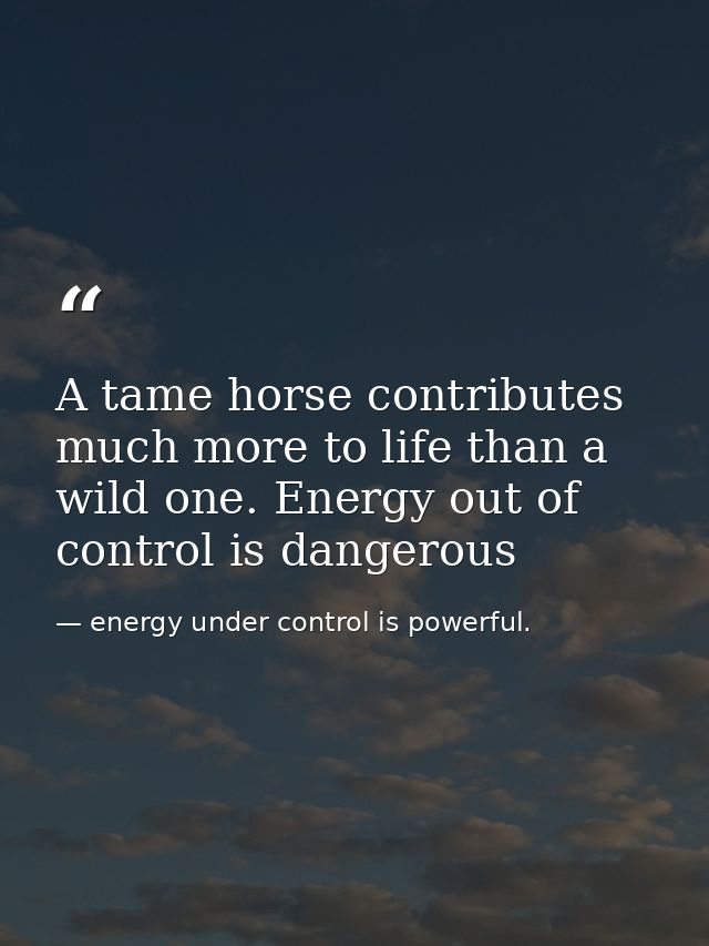 A tame horse contributes much more to life than a wild one. Energy out of control is dangerous — energy under control is powerful.