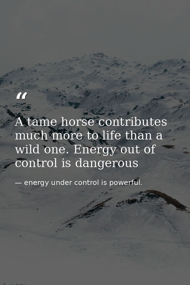 A tame horse contributes much more to life than a wild one. Energy out of control is dangerous — energy under control is powerful.
