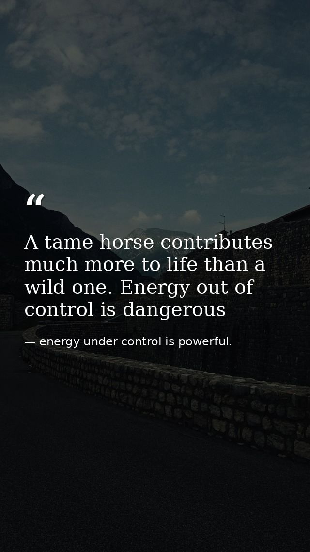 A tame horse contributes much more to life than a wild one. Energy out of control is dangerous — energy under control is powerful.