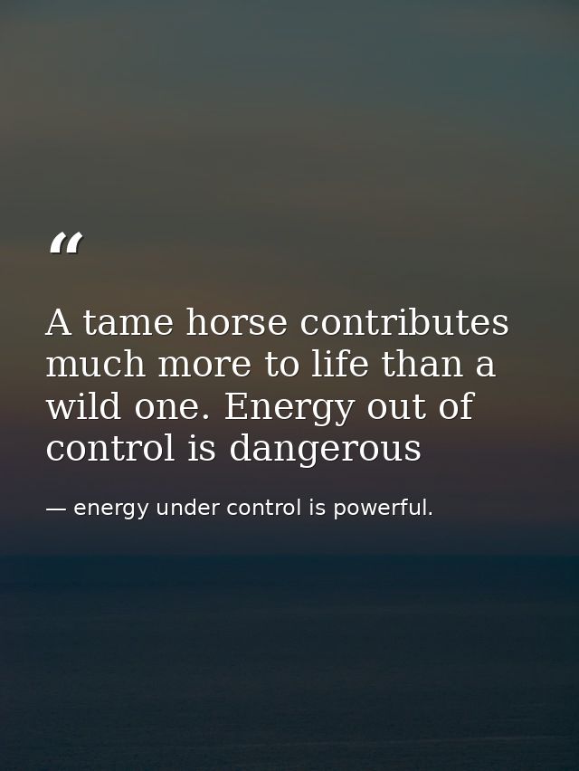 A tame horse contributes much more to life than a wild one. Energy out of control is dangerous — energy under control is powerful.