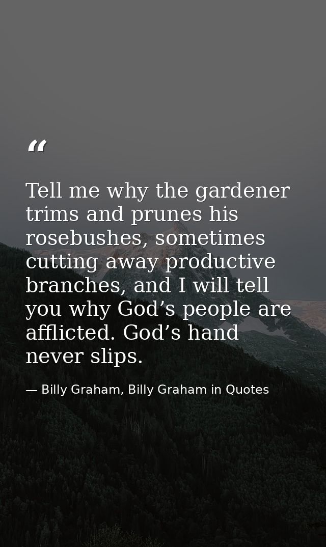 Tell me why the gardener trims and prunes his rosebushes, sometimes cutting away productive branches, and I will tell yo — Billy Graham, Billy Graham in Quotes