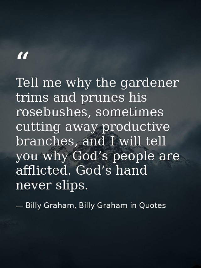 Tell me why the gardener trims and prunes his rosebushes, sometimes cutting away productive branches, and I will tell yo — Billy Graham, Billy Graham in Quotes
